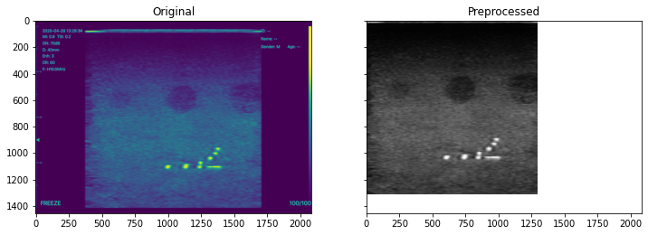 _images/Preprocessing_Examples_6_2.png